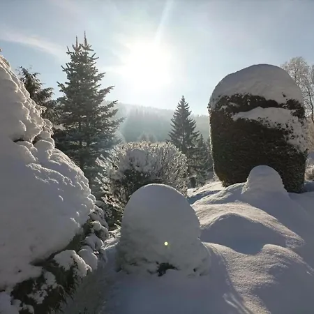 Area In Giant Mountains Černý Dŭl