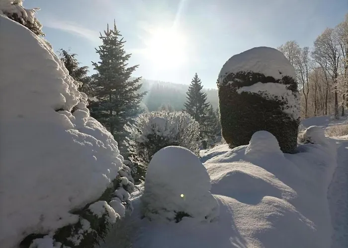 Area In Giant Mountains Černý Dŭl