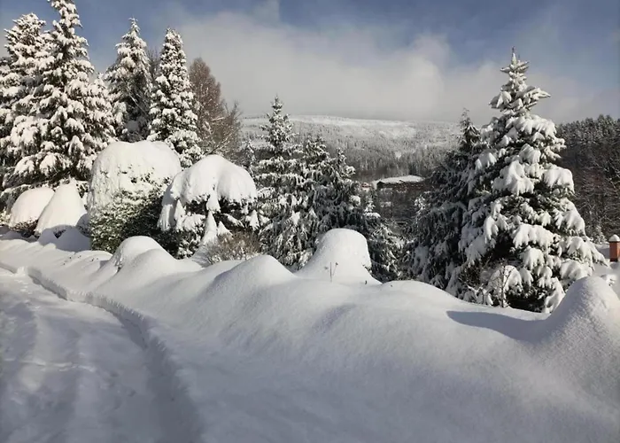 Area In Giant Mountains Дом отдыха *